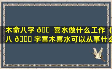 木命八字 🐠 喜水做什么工作（八 🐕 字喜木喜水可以从事什么行业）